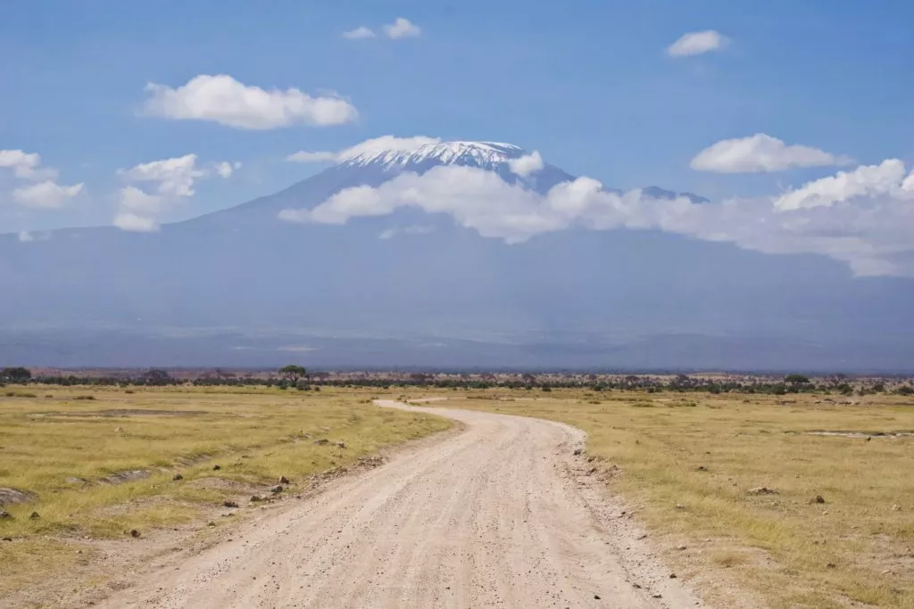 Safari au Parc National d'Amboseli au  Kenya, vue sur le Kilimandjaro
