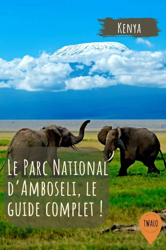 Le parc national d'Amboseli, au pied du Kilimandjaro au Kenya.