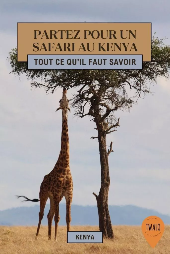 Safari au Kenya: Réserves, prix, saison, organisation.