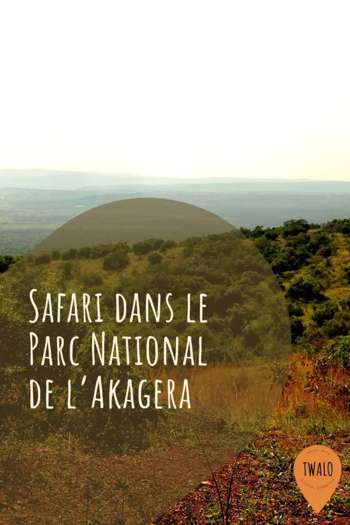 Safari dans le Parc National de l'Akagera