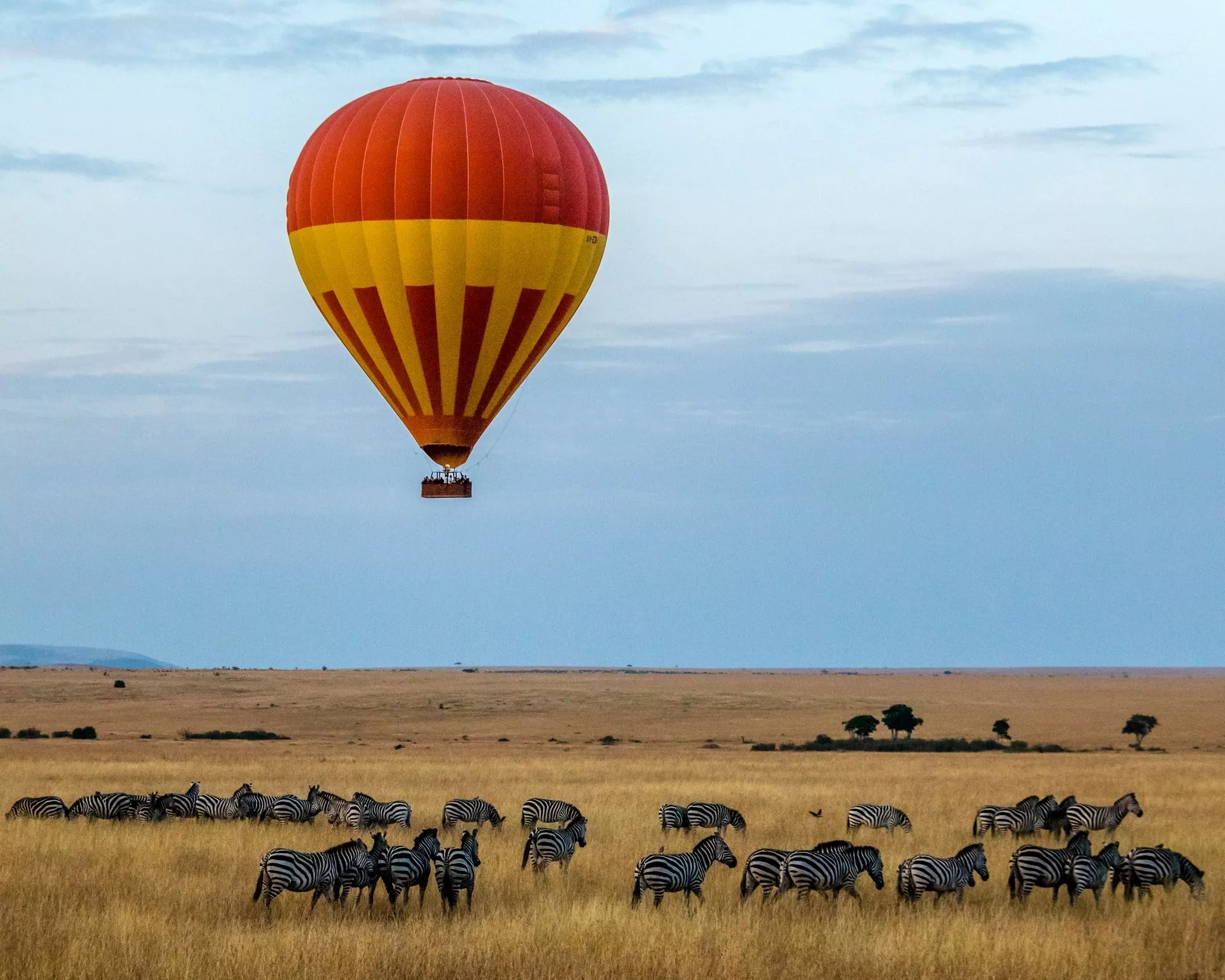 montgolfière en safari en tanzanie