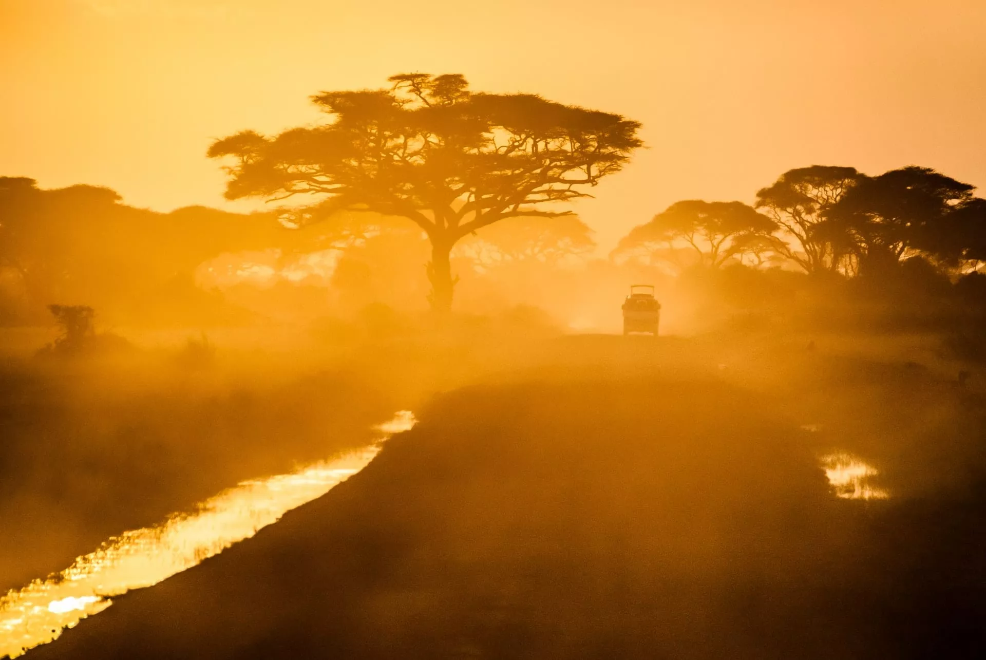 coucher de soleil en safari en Tanzanie