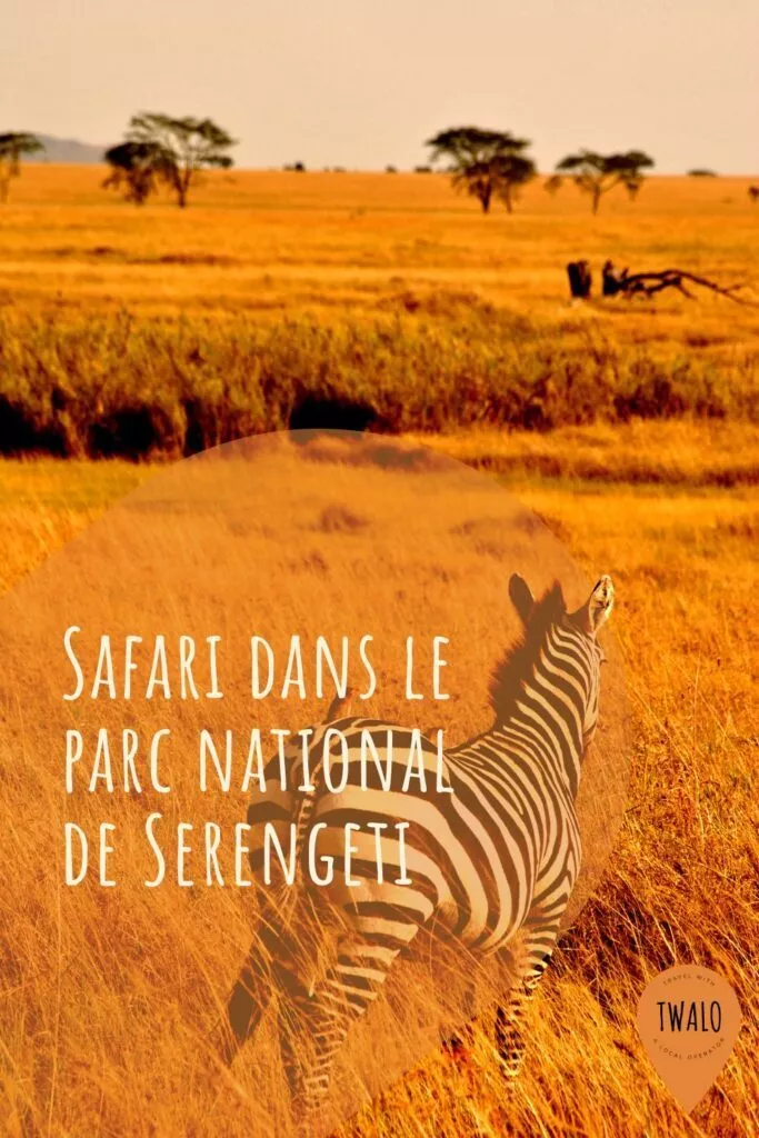 Safari dans le Serengeti National Park : Vivez la grande migration