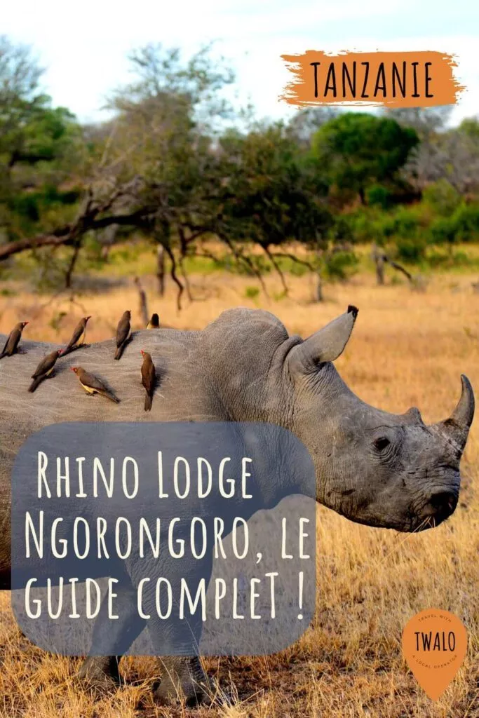 Ne perdez pas une miette du Ngorongoro, au Rhino Lodge Ngorongoro
Safari incontournable sur votre circuit en Tanzanie
Lodge parfait pour les voyageurs