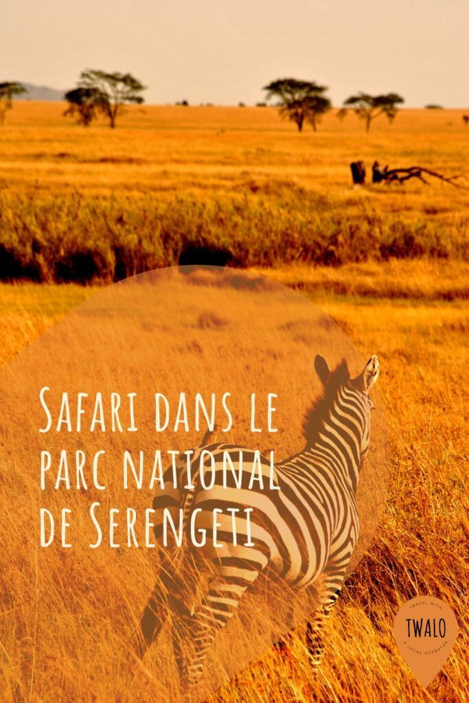 Safari dans le Serengeti National Park: Vivez la grande migration
