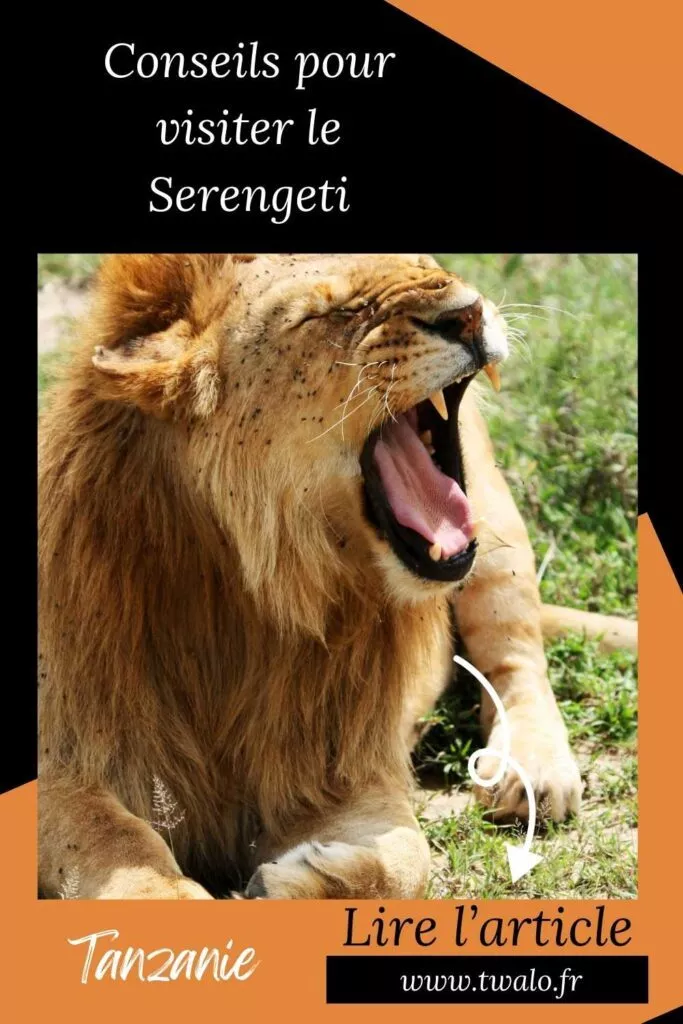 Conseils pour un safari au Serengeti en Tanzanie: Grande migration, logement, tarifs, animaux.