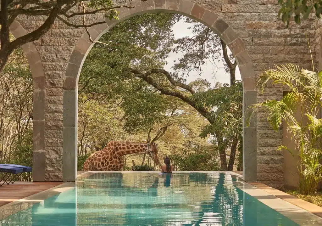 Piscine au Giraffe Manor
