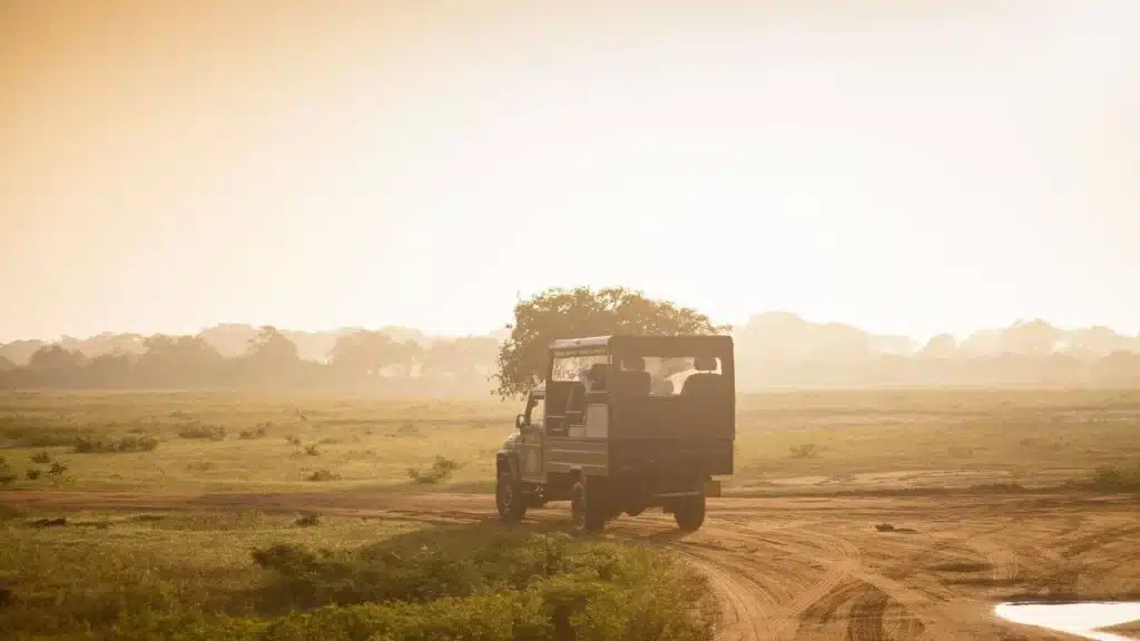 Jeep en safari au Sri Lanka