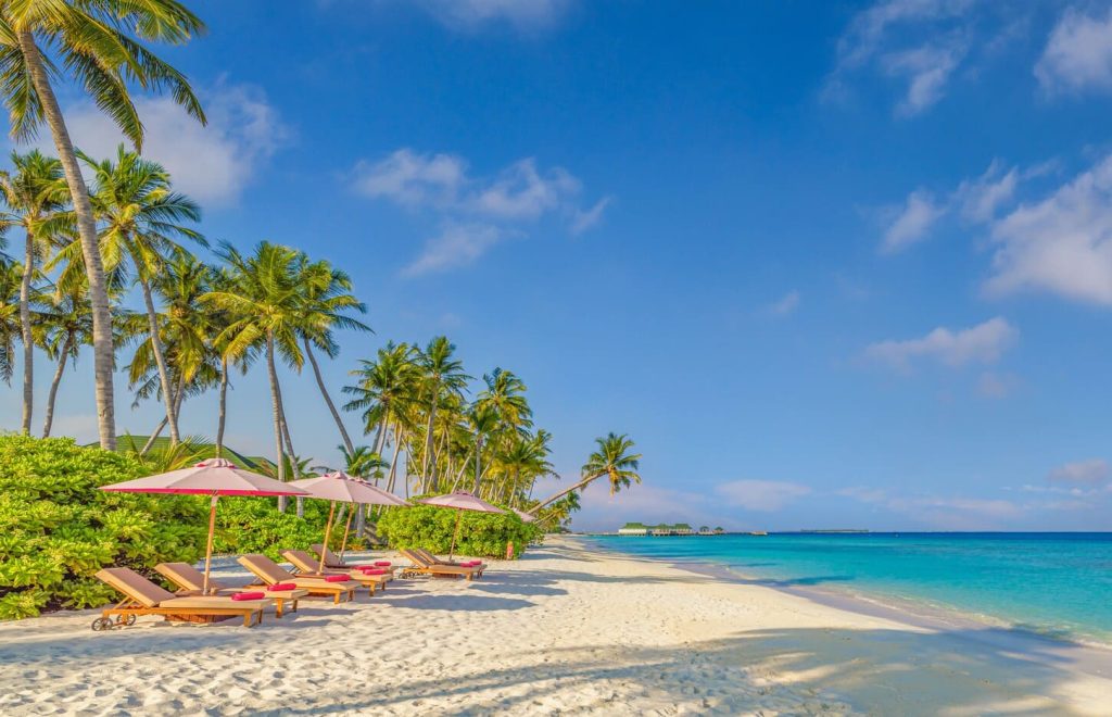 iles de la société