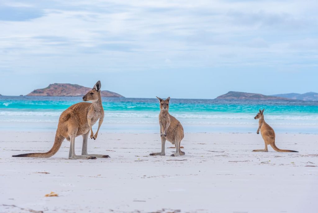 Voyage sur mesure en Australie - Océanie - Twalo (10)